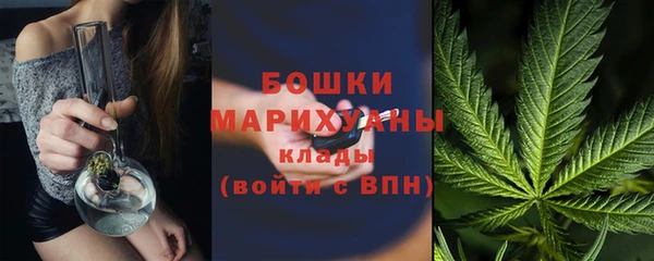 ГАЛЛЮЦИНОГЕННЫЕ ГРИБЫ Карпинск