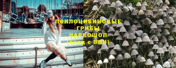 ГАЛЛЮЦИНОГЕННЫЕ ГРИБЫ Карпинск