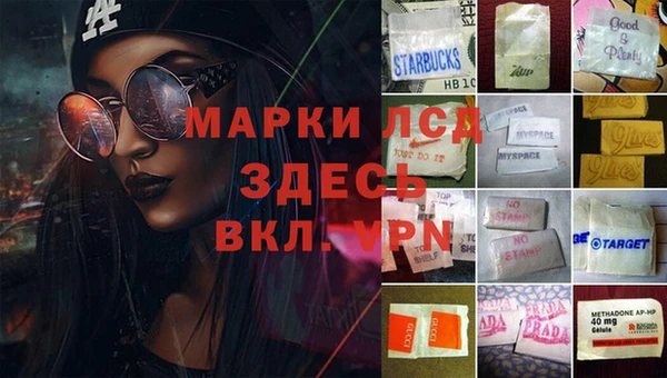 spice Касимов